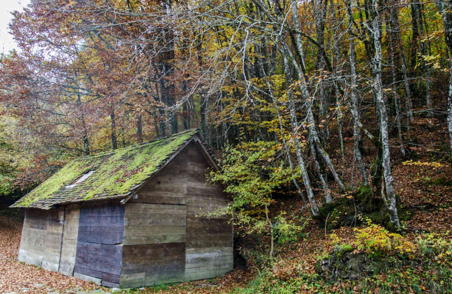 Comunidad Foral de Navarra 156 - valle de Roncal.jpg
